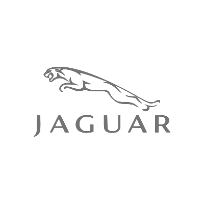 Jaguar Jaguar
